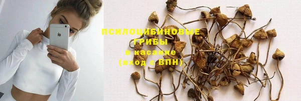спиды Алексеевка