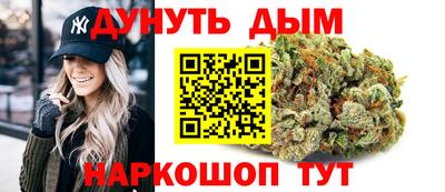 МДПВ Новодвинск