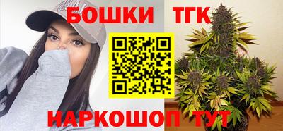 МДПВ Новодвинск