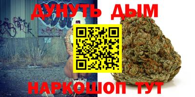 МДПВ Новодвинск