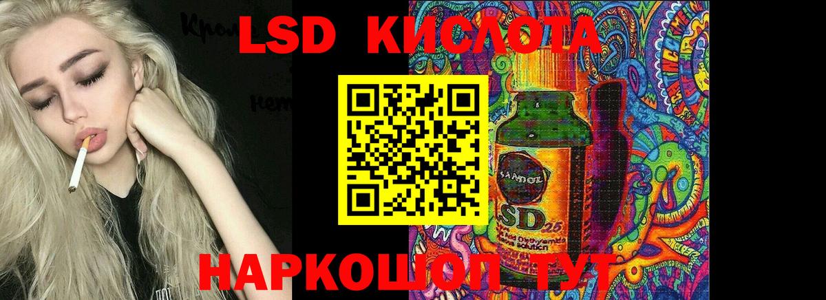 Псилоцибиновые грибы Биробиджан