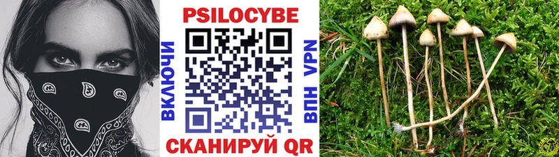 купить   Биробиджан  Псилоцибиновые грибы мухоморы 