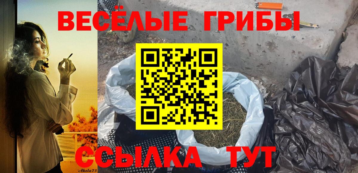 Псилоцибиновые грибы прущие грибы  Вход с VPN  Биробиджан  Псилоцибиновые грибы мицелий 