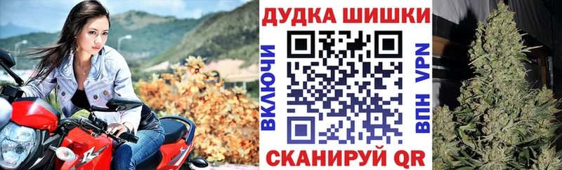 Бошки Шишки White Widow  мега   Биробиджан  нарко площадка Telegram  купить  